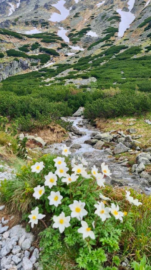 Tatry Ela Big Apartment Štrbské Pleso Exteriér fotografie