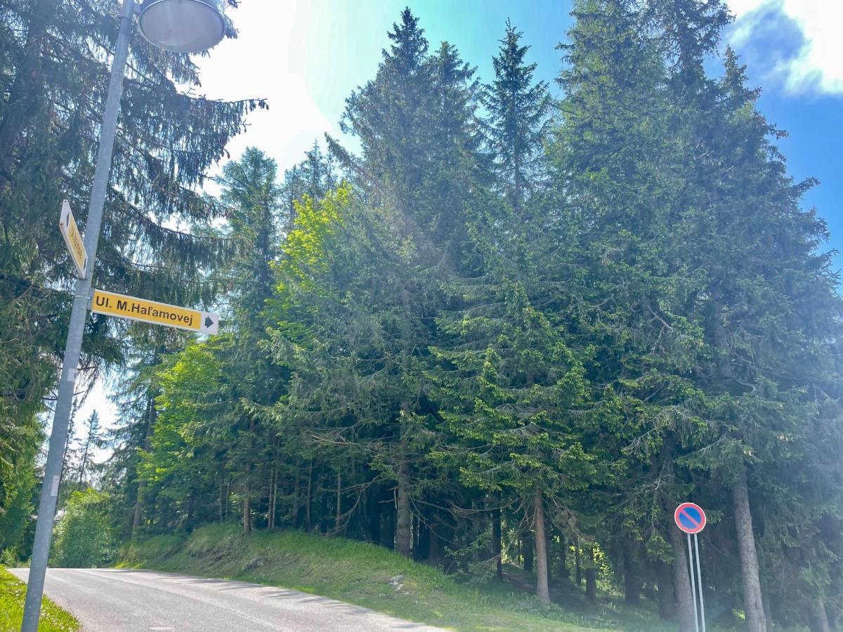 Tatry Ela Big Apartment Štrbské Pleso Exteriér fotografie
